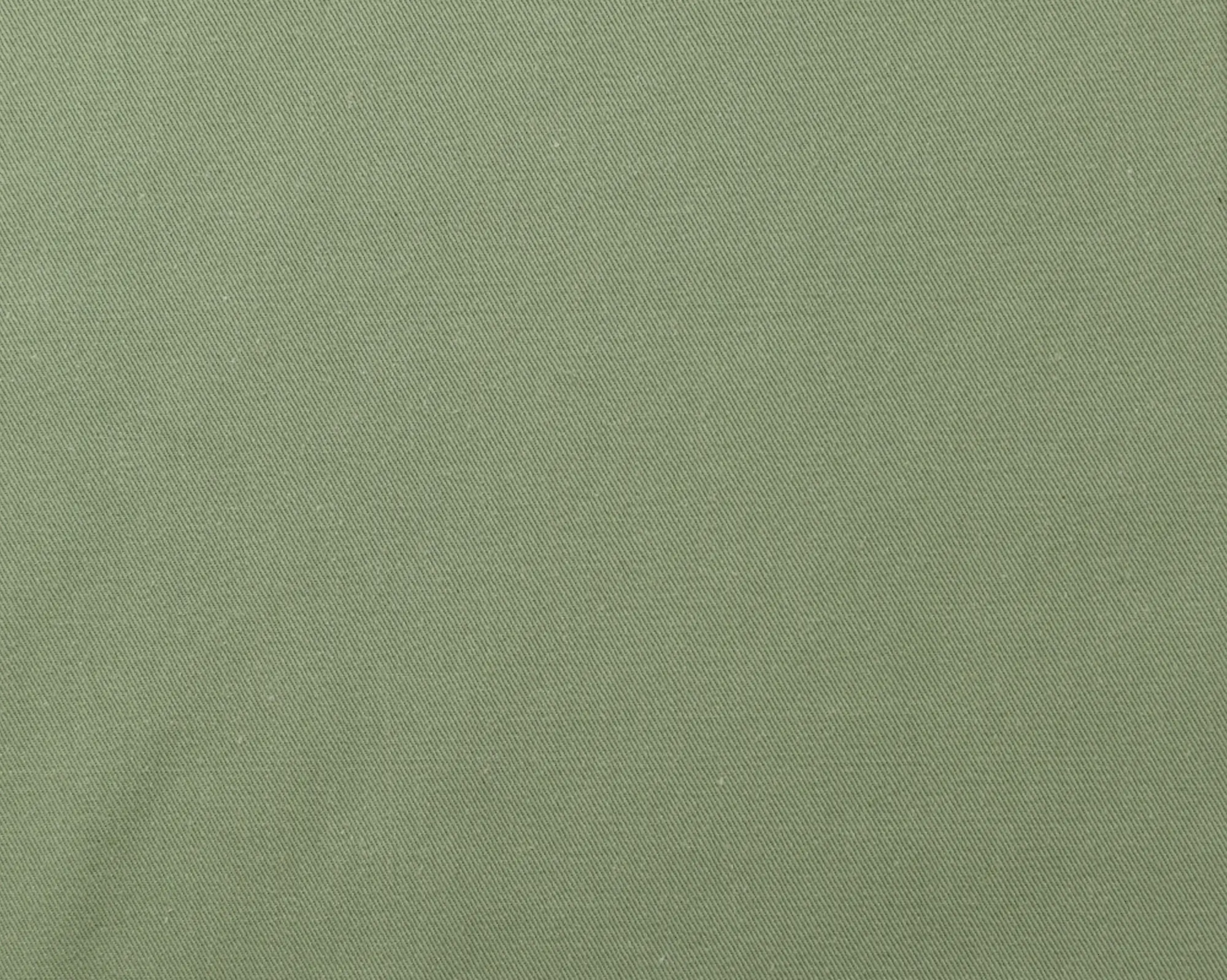 Cotton Twill - Green - Image 2