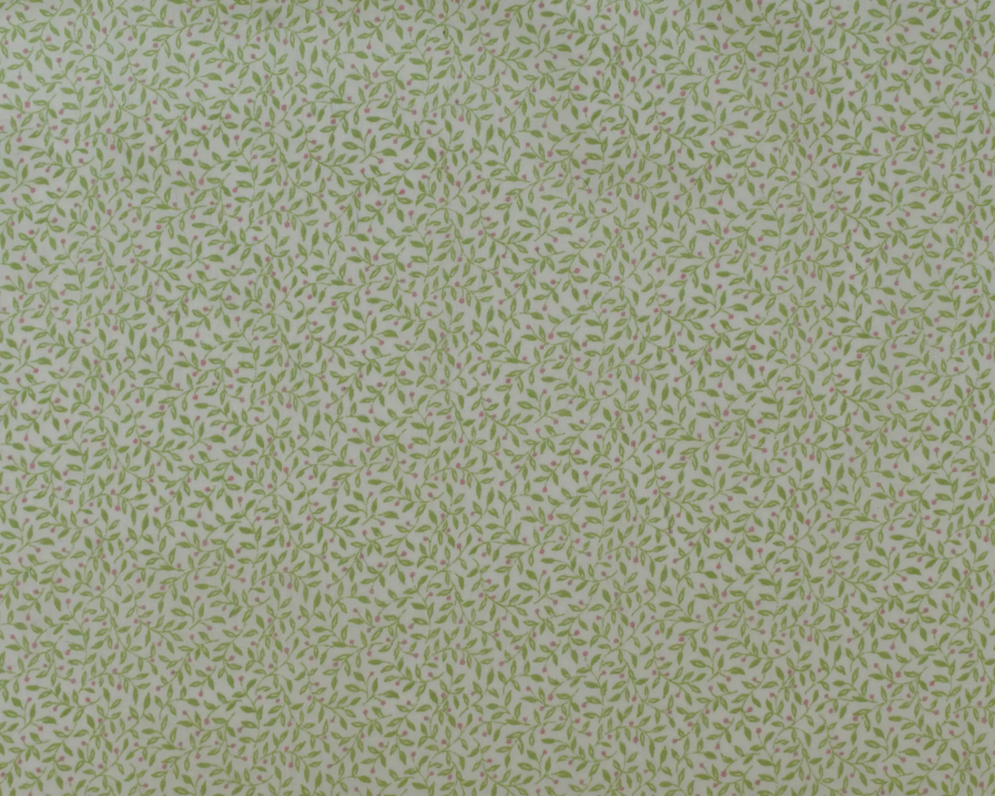 Cotton Broadcloth Shirting - Delicate Green Leaf - Image 2