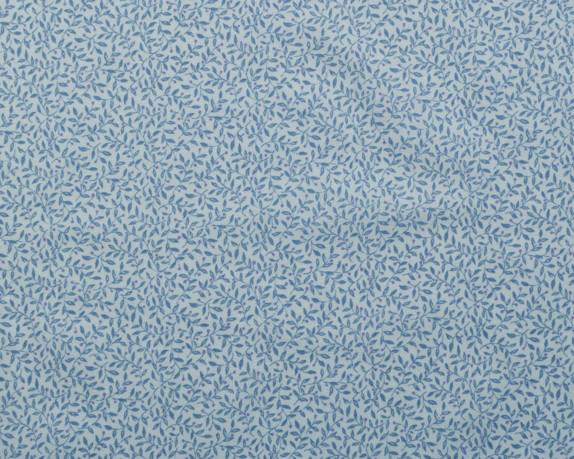 Cotton Broadcloth Shirting - Delicate Blue Leaf - Image 2