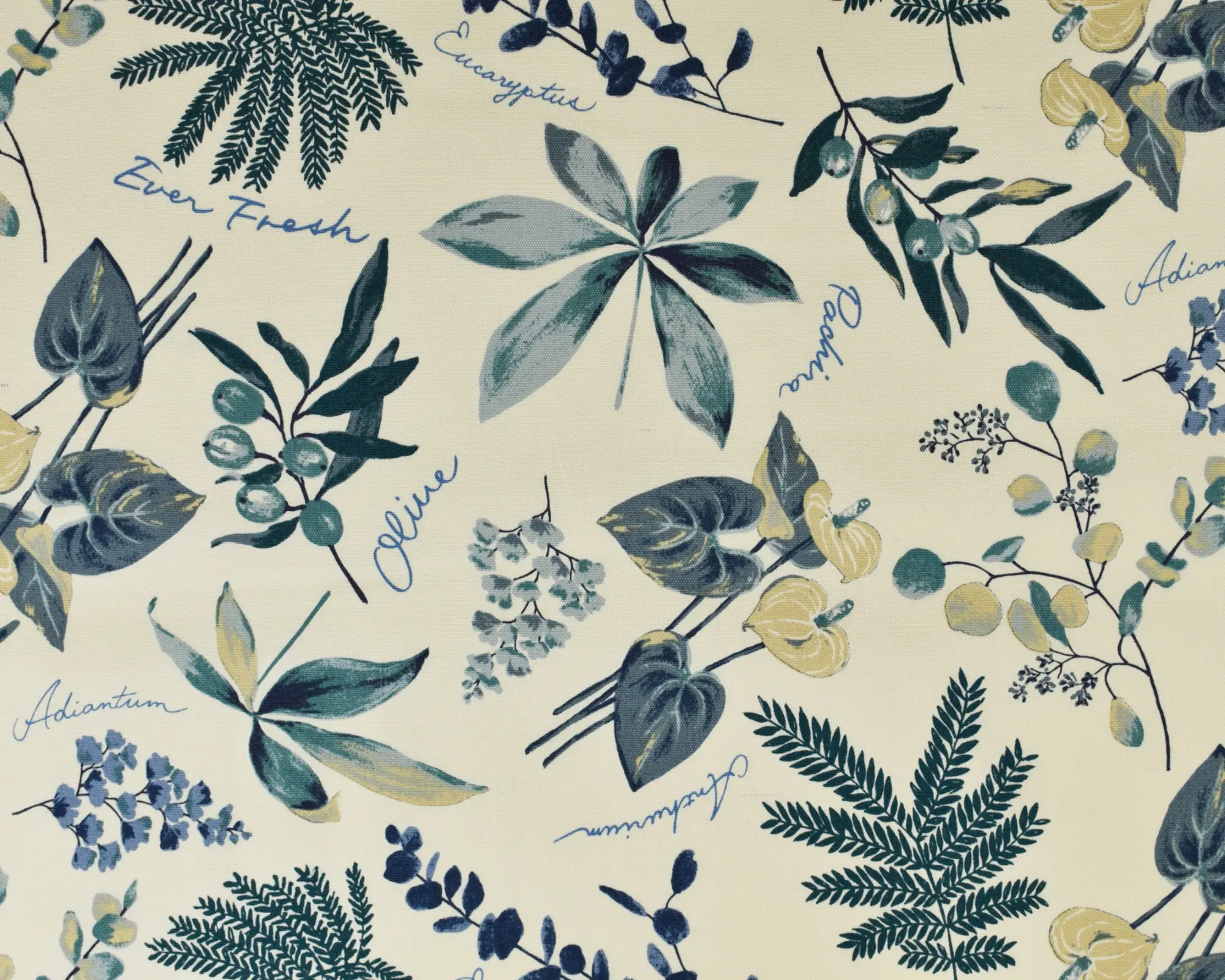 Cotton Oxford Shirting - Botanical Print on Cream - Image 2