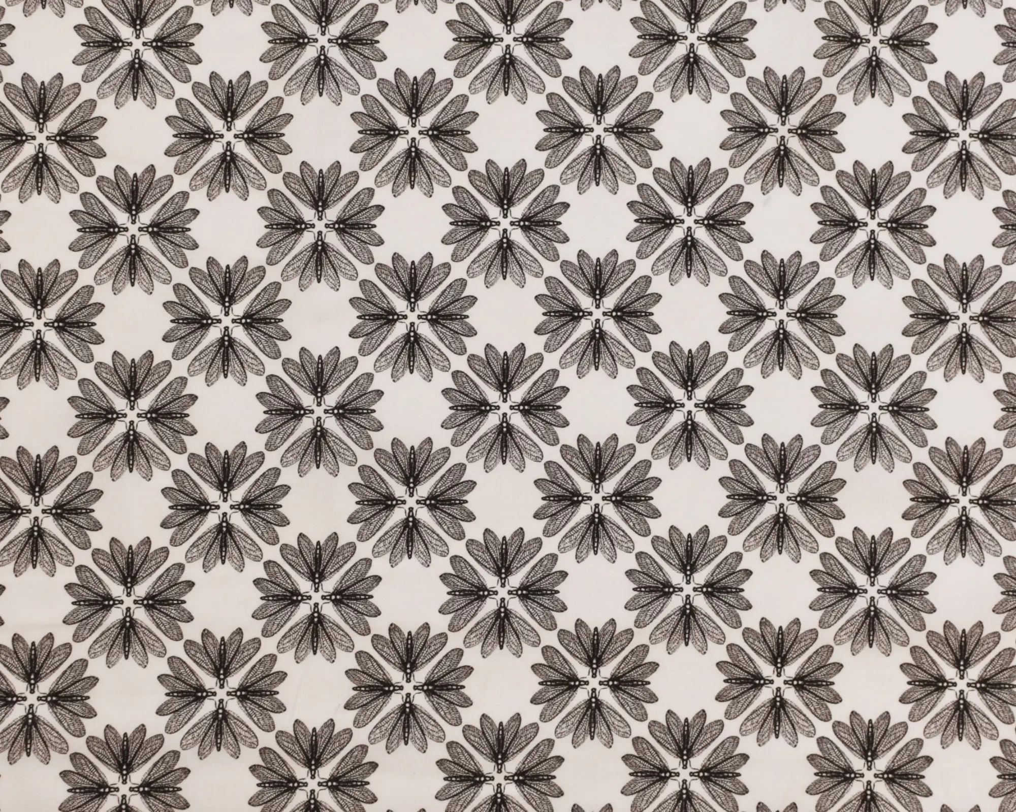 Cotton Poplin - Lace Wing Print - Image 2